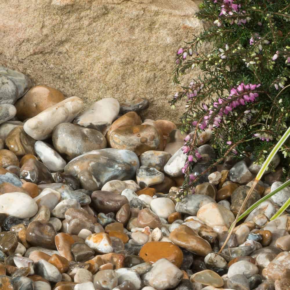 OYSTER GRAVEL (40MM) EACH Buildland Ltd