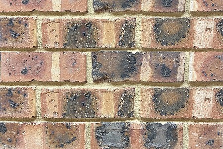 Giscol Common Brick